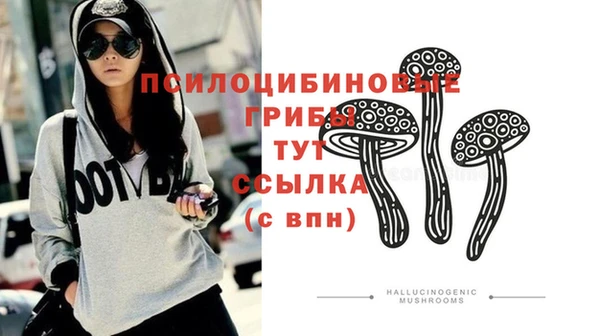 прущая мука Арсеньев