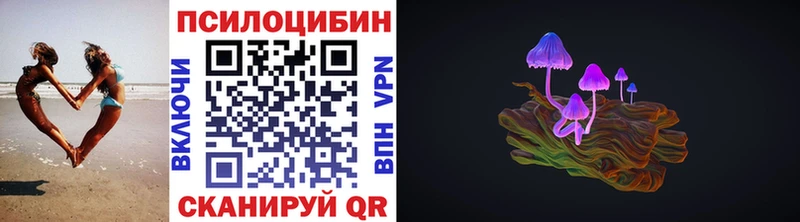 Галлюциногенные грибы Cubensis  Купить где  Сусуман 