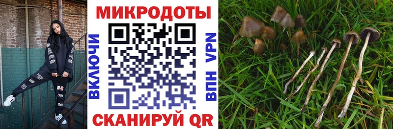 Псилоцибиновые грибы мухоморы Сусуман